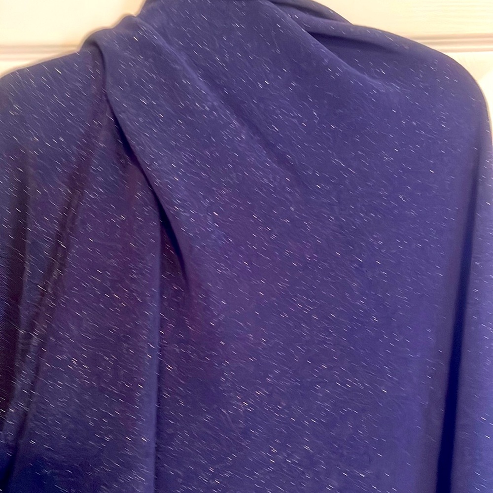 Elastic sparkly fabric